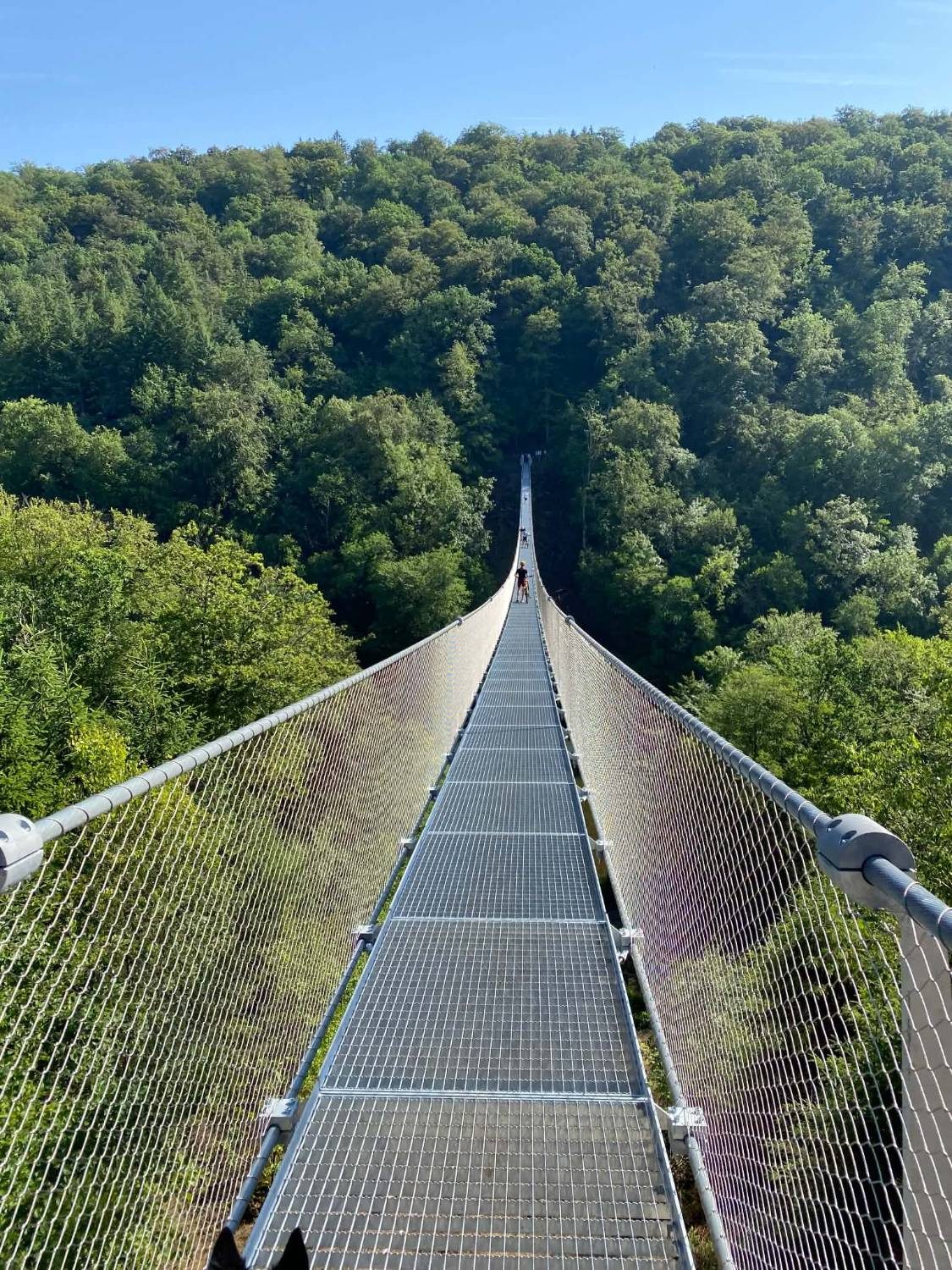 Le tablier en caillebotis de la passerelle de Sainte-Cécile file droit vers la forêt du versant opposé