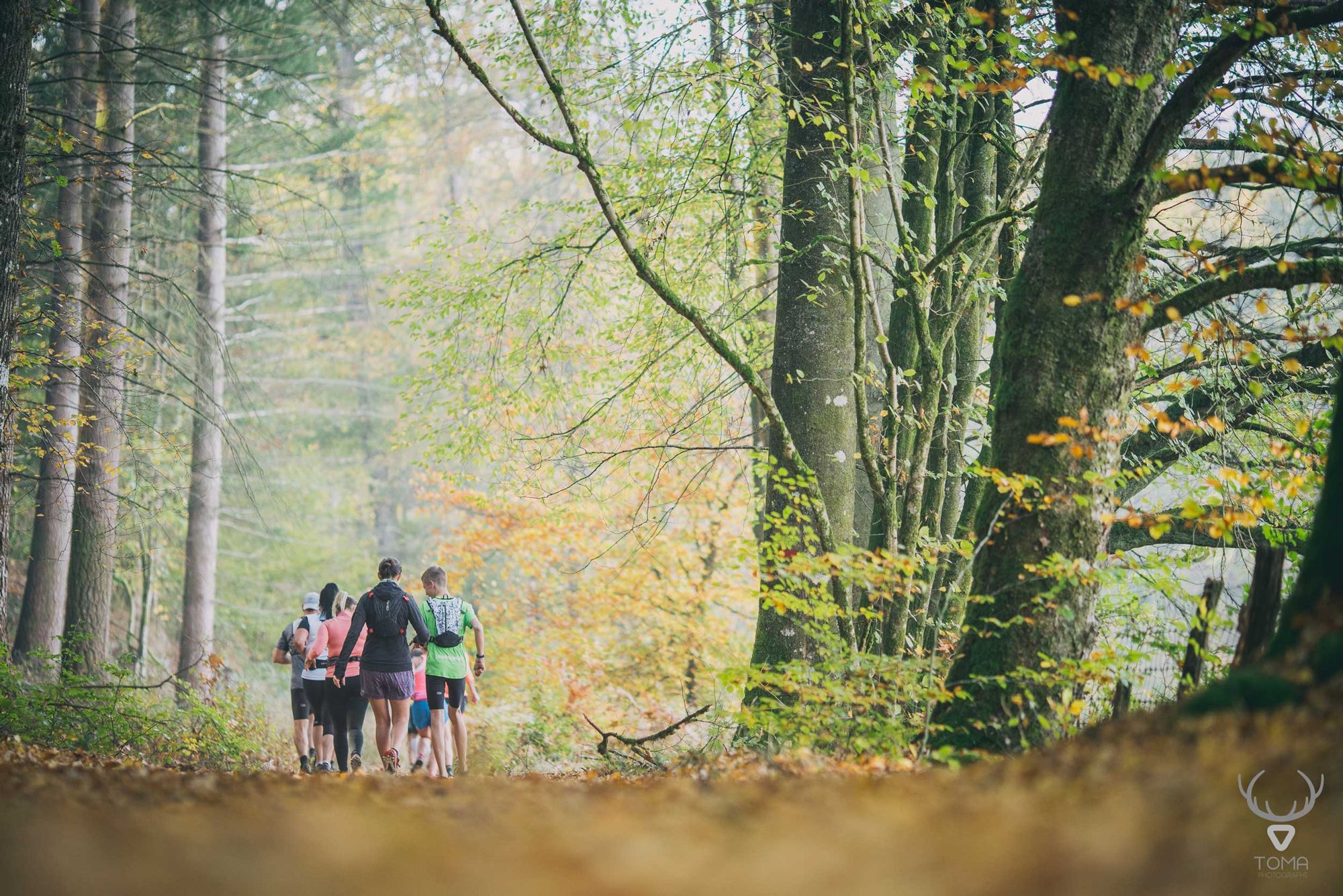 Des randonneurs s'éloignent sur un chemin forestier aux couleurs d'automne