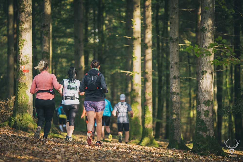 Randonneurs en file sous les grands arbres d'une forêt de Gaume