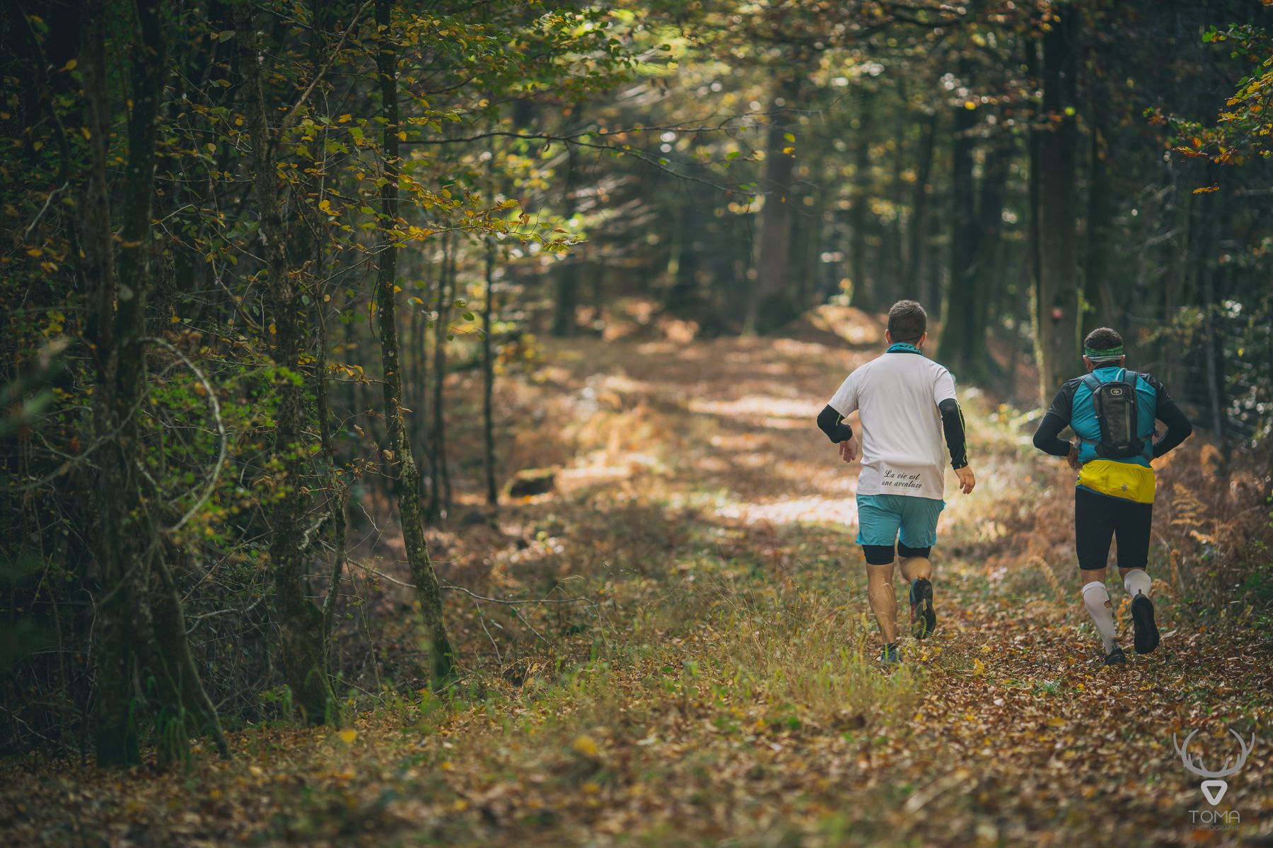 Deux coureurs sur un sentier de forêt