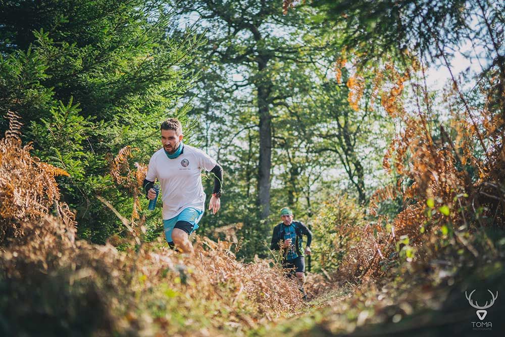 Un traileur dans la descente d'un sentier de fougères